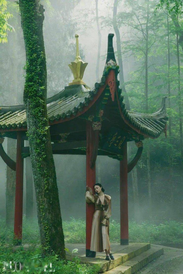 针织裙