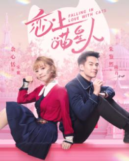 锦泓集团：目前暂未开展海外TikTok业务