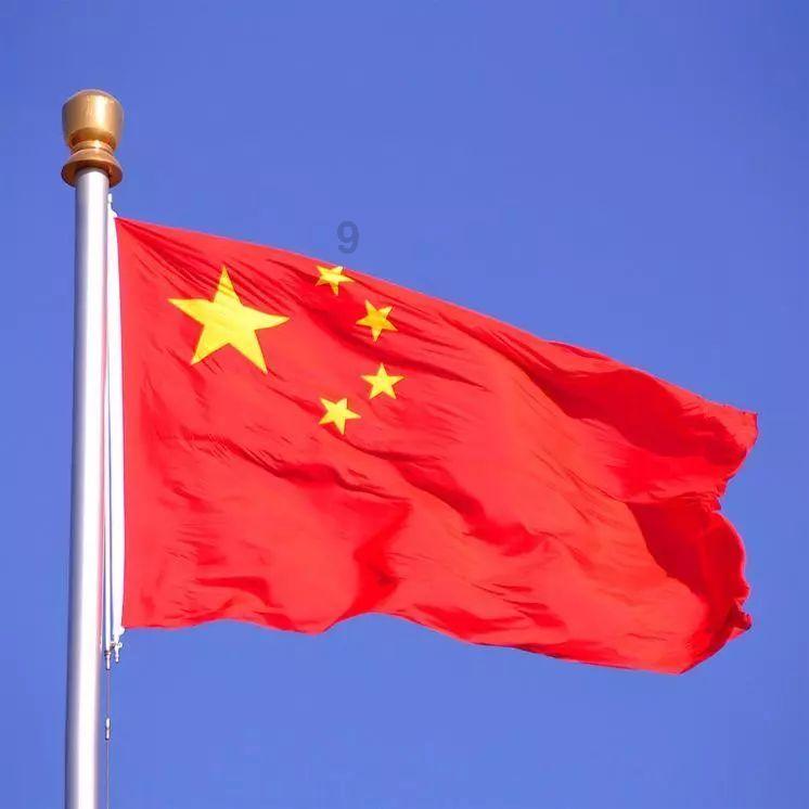 见习小魔女勇闯猪窝岛