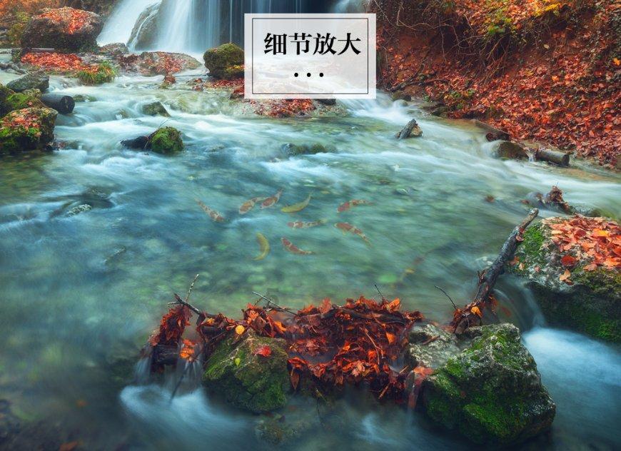 大话2免费版
